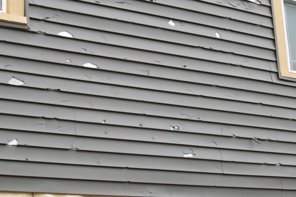 Best Hoarding Cleanup  in East Rancho Dominguez, CA