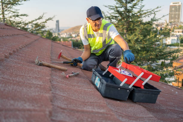 Best Carpet Removal and Disposal  in East Rancho Dominguez, CA